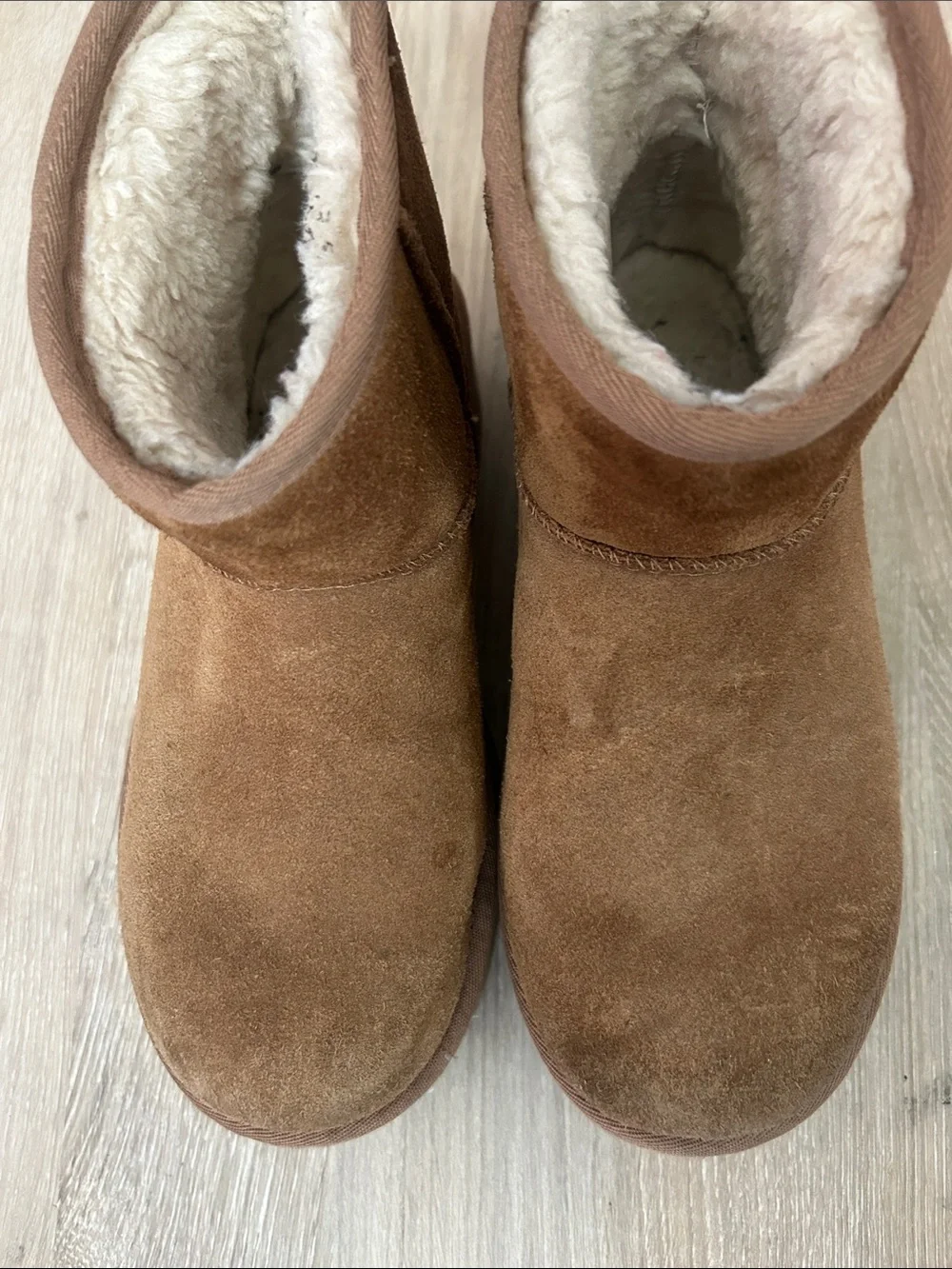UGG Chestnut Suede Short Platform Boot